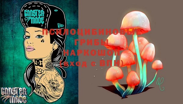 кокс Арсеньев