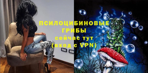 тгк Аркадак