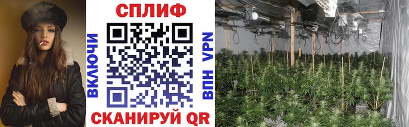 МАРИХУАНА White Widow  Сретенск 